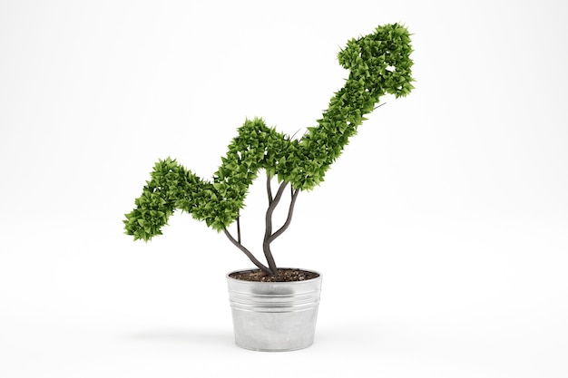 growth